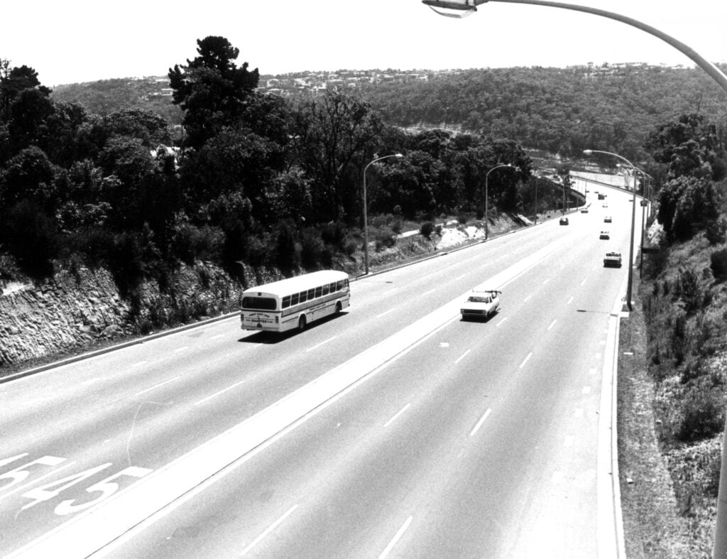 Forest Old Buses